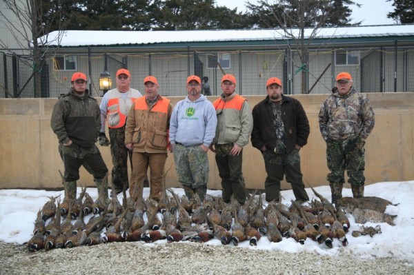 Kansas Upland bird